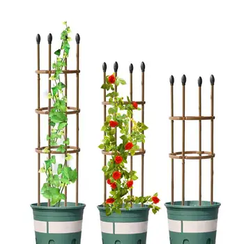 Bahçe Dikilitaş Kafes Domates Destek Kafesleri Çiçek Sarmaşıklar Pot Standı Bitkiler destek çerçevesi Asma Sarmaşık Çiçek Saksı Bitki Bahçe