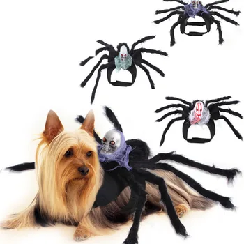 Cadılar Bayramı Yaratıcı Kedi Köpek Küçük Köpek İskelet İçine Yeni Bir Kostüm Pet Örümcek Göğüs Geri