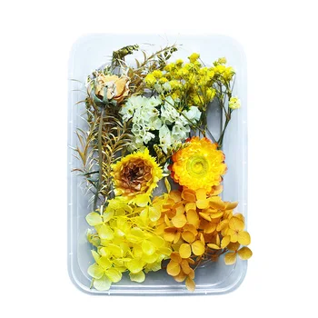 DIY Karışık Kurutulmuş Çiçek Kutusu Gerçek Çiçekler Hava kurutulmuş Ortanca Sonsuz Çiçekler Malzeme Seti Küçük Kurutulmuş Çiçekler Dekorasyon için