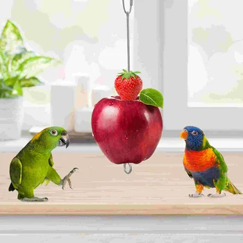 Kuş Kafesi Besleyici Parakeet Aksesuarları Papağan Sebze Şiş Toplama Oyuncak Paslanmaz Çelik Meyve Tutucu Tedavi Gıda