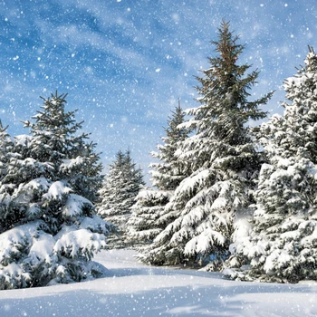 Noel Ağacı Kış Orman Zemin Kar Kar Tanesi Fotoğraf Arka Plan Photozone Vinil Photophones Fotoğraflar İçin Photocall