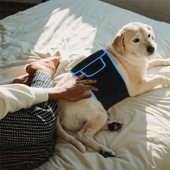 Pet kırmızı ışık kemer kedi köpek mide klima fototerapi kızılötesi ısı kurtarma fizyoterapi ağrı kesici karın kemeri