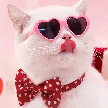 Sevimli Kalp Aşk Pet Köpek Kedi Güneş Gözlüğü Ins Tarzı Güneş Çiçek Gözlük Yavru Evcil Hayvanlar için Komik Gözlük Evcil Hayvan Fotoğrafları Sahne Aksesuarları