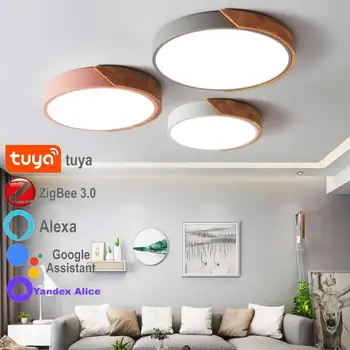 Zigbee Tuya Led Tavan Lambası Avize Akıllı Ev Odası Dekor Yandex Alice Yardımcısı Alexa Yatak Odası Nordic Macaron çocuk Odası